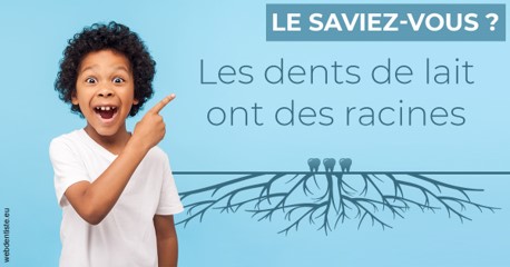 https://selarl-dr-nathan-michele.chirurgiens-dentistes.fr/Les dents de lait 2