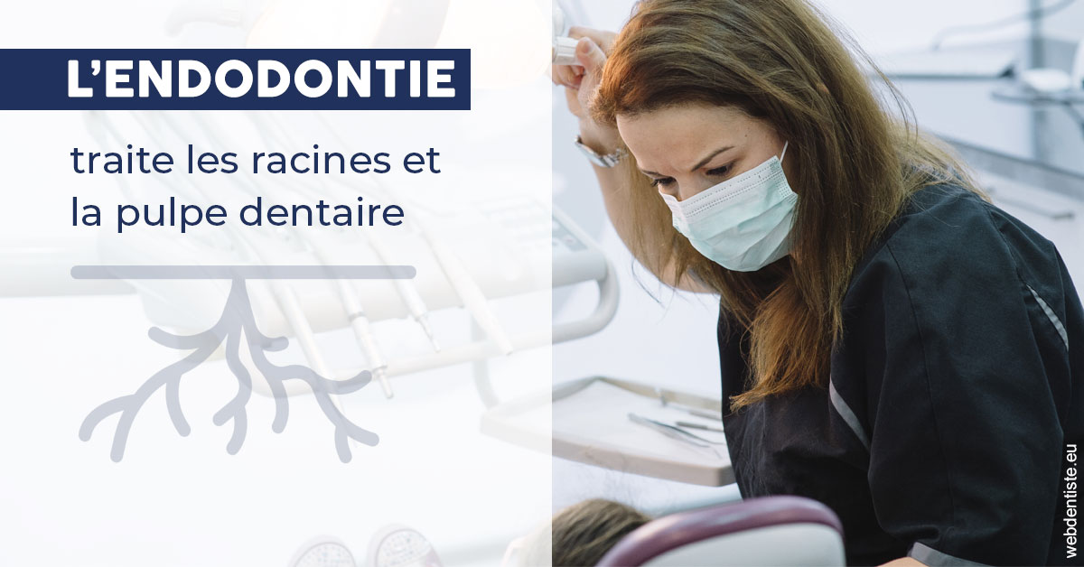 https://selarl-dr-nathan-michele.chirurgiens-dentistes.fr/L'endodontie 1