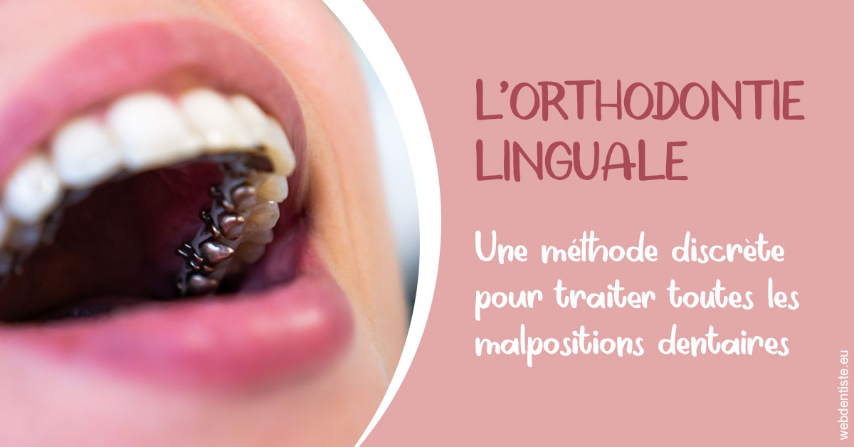 https://selarl-dr-nathan-michele.chirurgiens-dentistes.fr/L'orthodontie linguale 2
