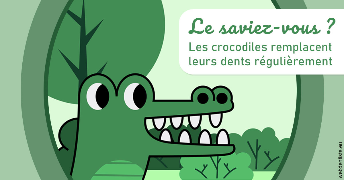 https://selarl-dr-nathan-michele.chirurgiens-dentistes.fr/Crocodiles 2