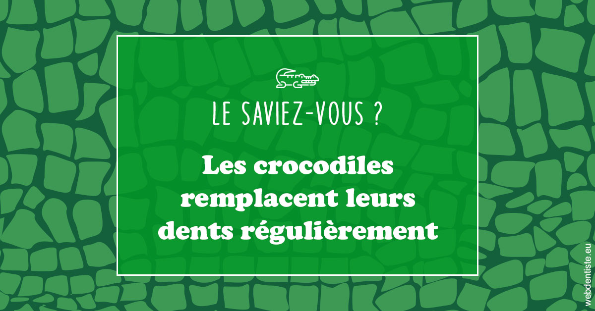 https://selarl-dr-nathan-michele.chirurgiens-dentistes.fr/Crocodiles 1